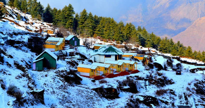 auli uttarakhand temperature
