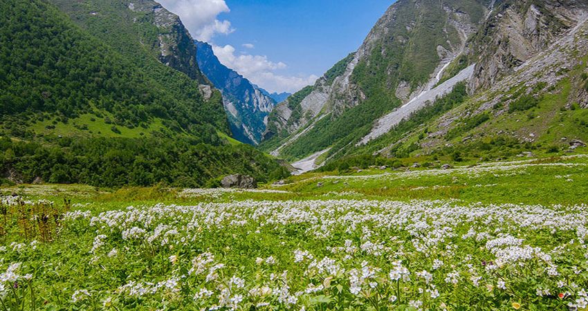 Valley of Flowers